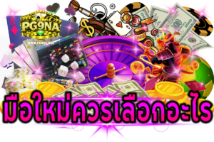 มือใหม่ควรเลือกอะไร